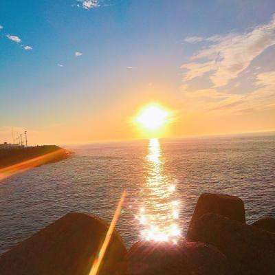 亚新链接体育截图