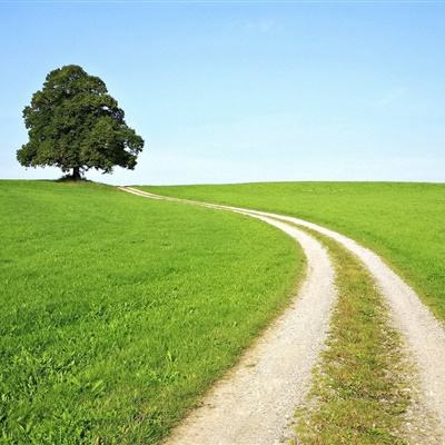 半岛手机网页版登录今日发布