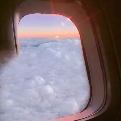 lm体育官网下载