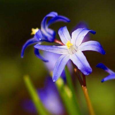 365体育手机版app下载