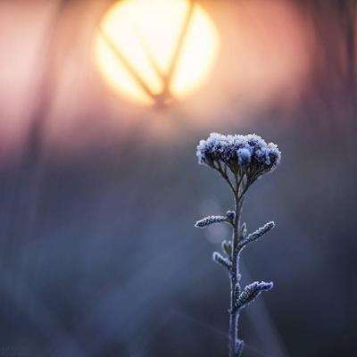 manbet手机版官网