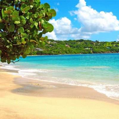 乐鱼官方app下载