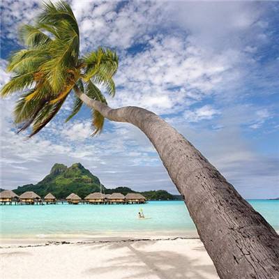 亚新链接体育截图