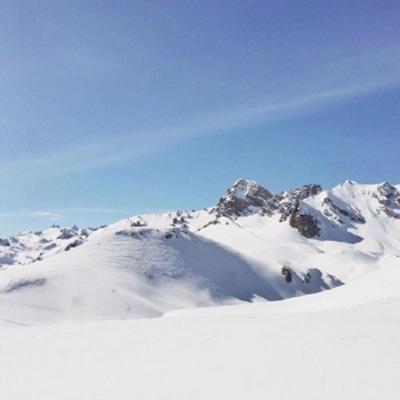 hth·华体育官方